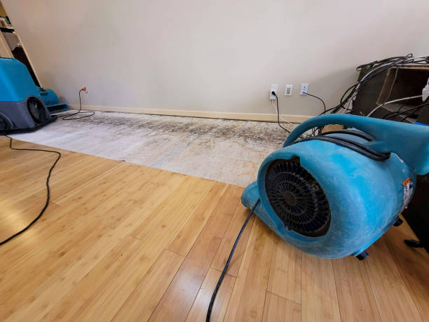 Professional Water Damage Repair technician working in Slippery Rock, PA